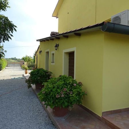 Appartamento Podere I Renai Santa Maria a Monte Exteriör bild